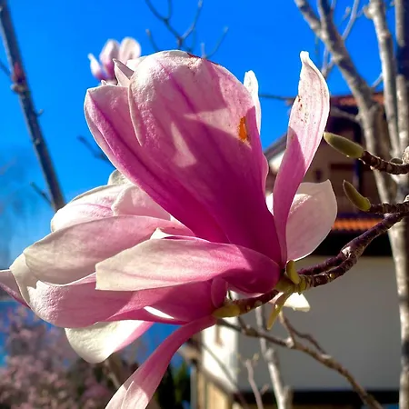 Apartment Aj 1 With Pool View, Santa Marina Village, *