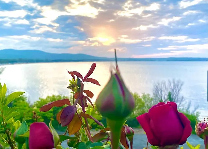 Aj 1 With Pool View, Santa Marina Village, Apartamento *