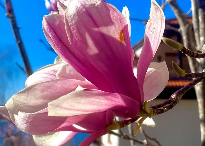 Apartamento Aj 1 With Pool View, Santa Marina Village, *