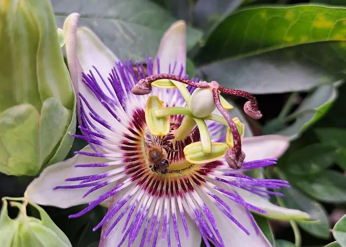 Apartamento Aj 1 With Pool View, Santa Marina Village, *